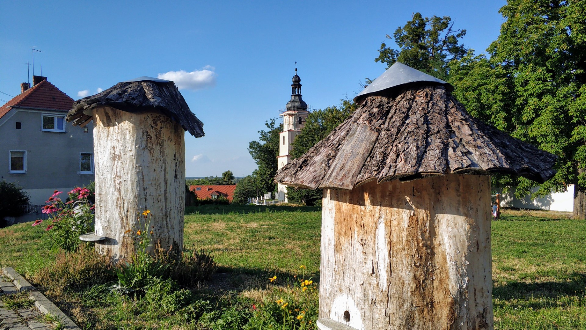 DĄBROWA fot. Milusiowe przygody