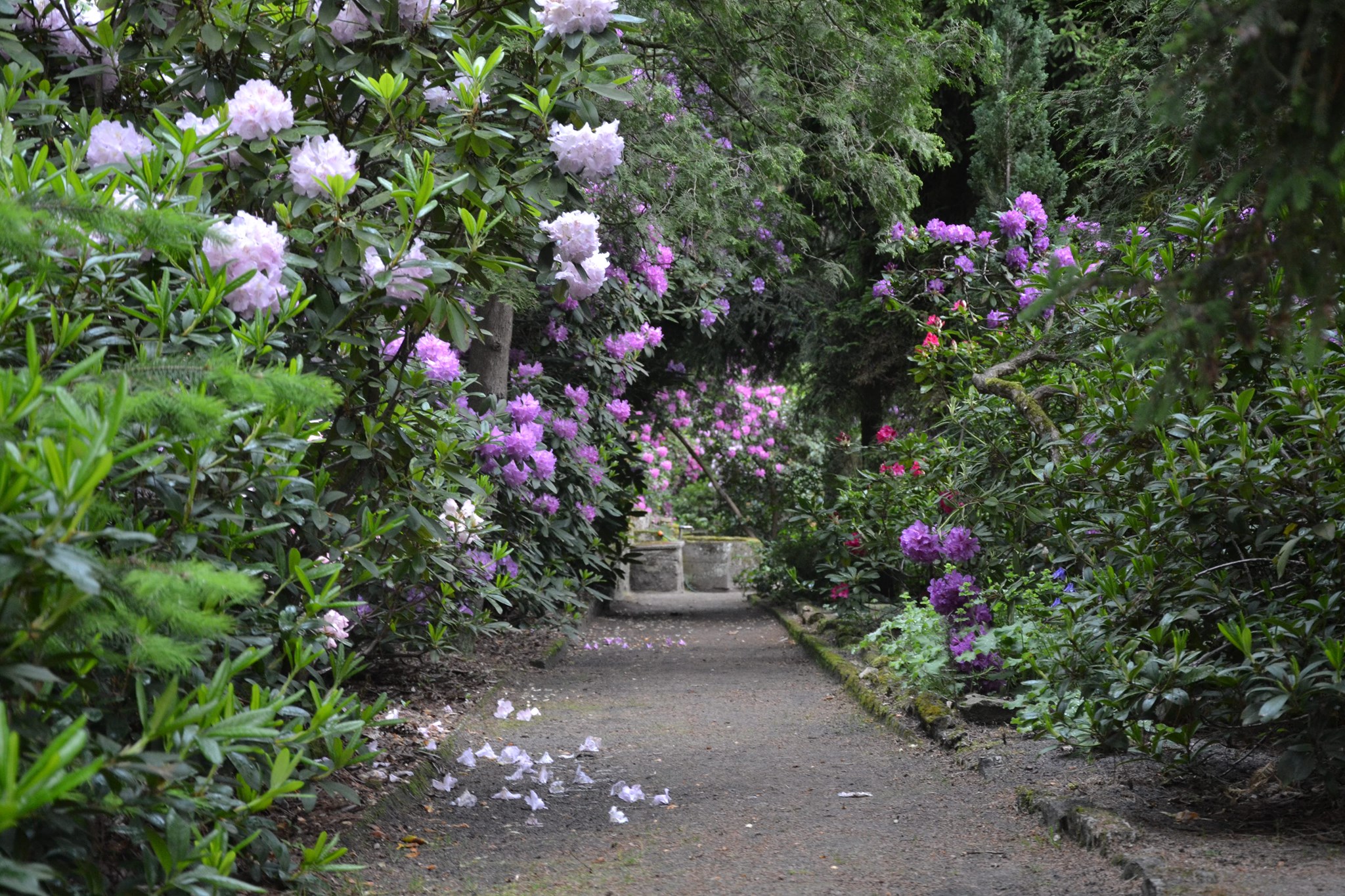 OGRÓD BOTANICZNY W ZAGWIŹDZIU