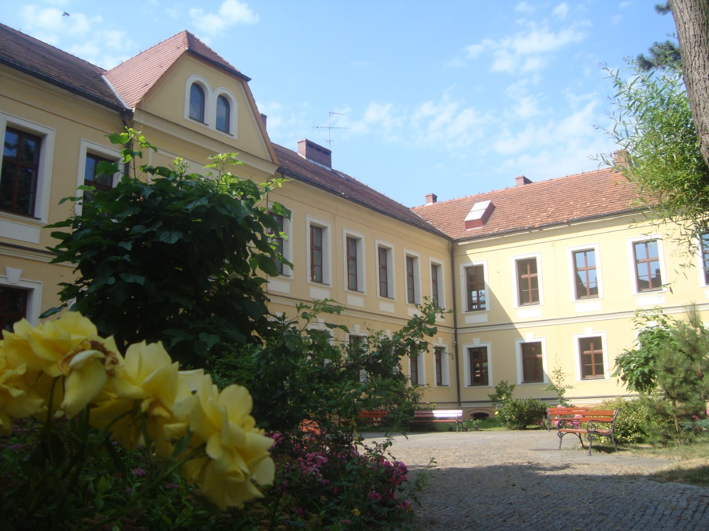 Pałac w Lewinie Brzeskim, obecnie Publiczna Szkoła Podstawowa 