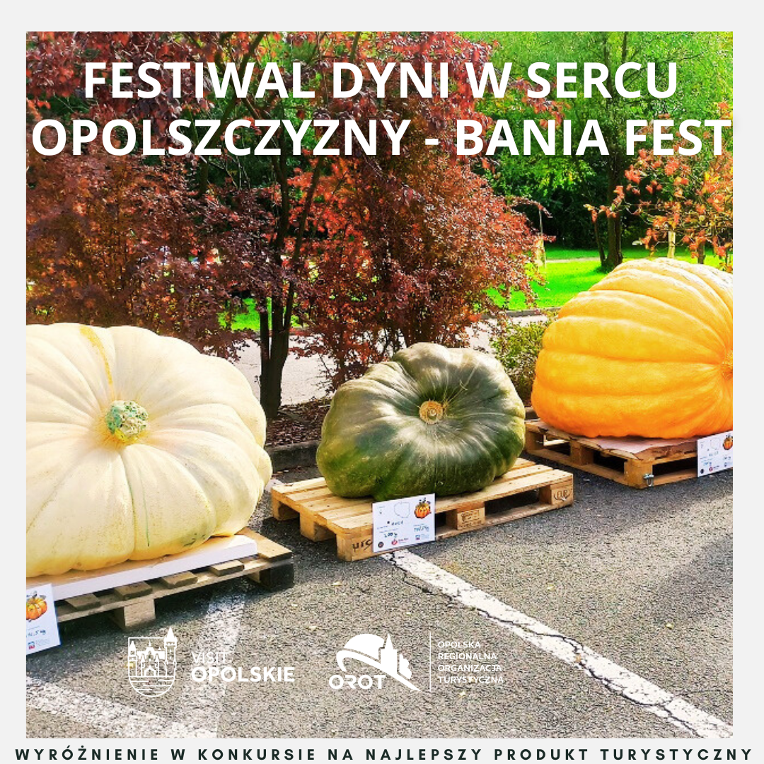 BANIA FEST