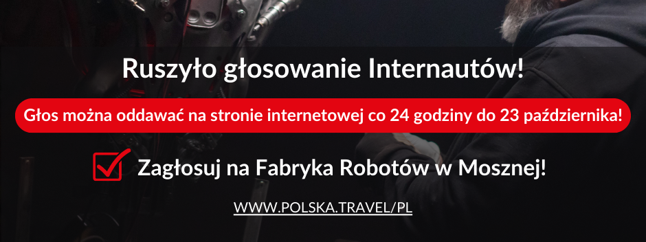 GŁOSOWANIE NA CERTYFIKAT INTERNAUTÓW 2024